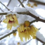 April in Transition