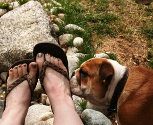 toesvinnie