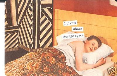 anne-taintor-storage