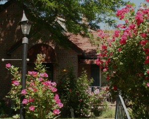 rosesfront