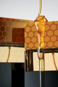 Naked Honey, Africanimal