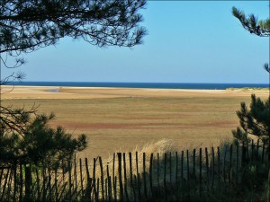holkhambay