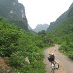 Random Sunday: Roam If You Want To