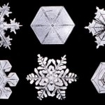 Holiday Open Thread