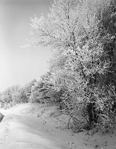US 61, Minnesota, 2010.