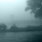Cold Spring - Anita