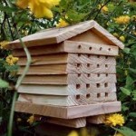 Roxana Villa To Bee 
