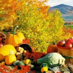 Another Sooper-Dooper Summer Friday Poll: What Fall Scents are You Looking Forward to Sampling?