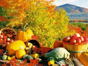 FallHarvest_2