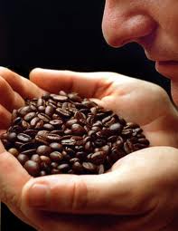 java sniff