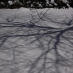 What is Beauty? / Tommi Sooni