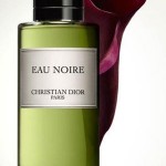 Eau Noire by Francis Kurkdjian for DIOR 2004