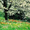 Top 10 Spring Perfumes 