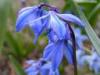 Top 10 Best Perfumes of Spring 2011